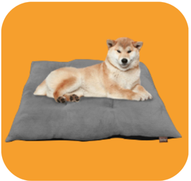 CAMA ZITROPUFF